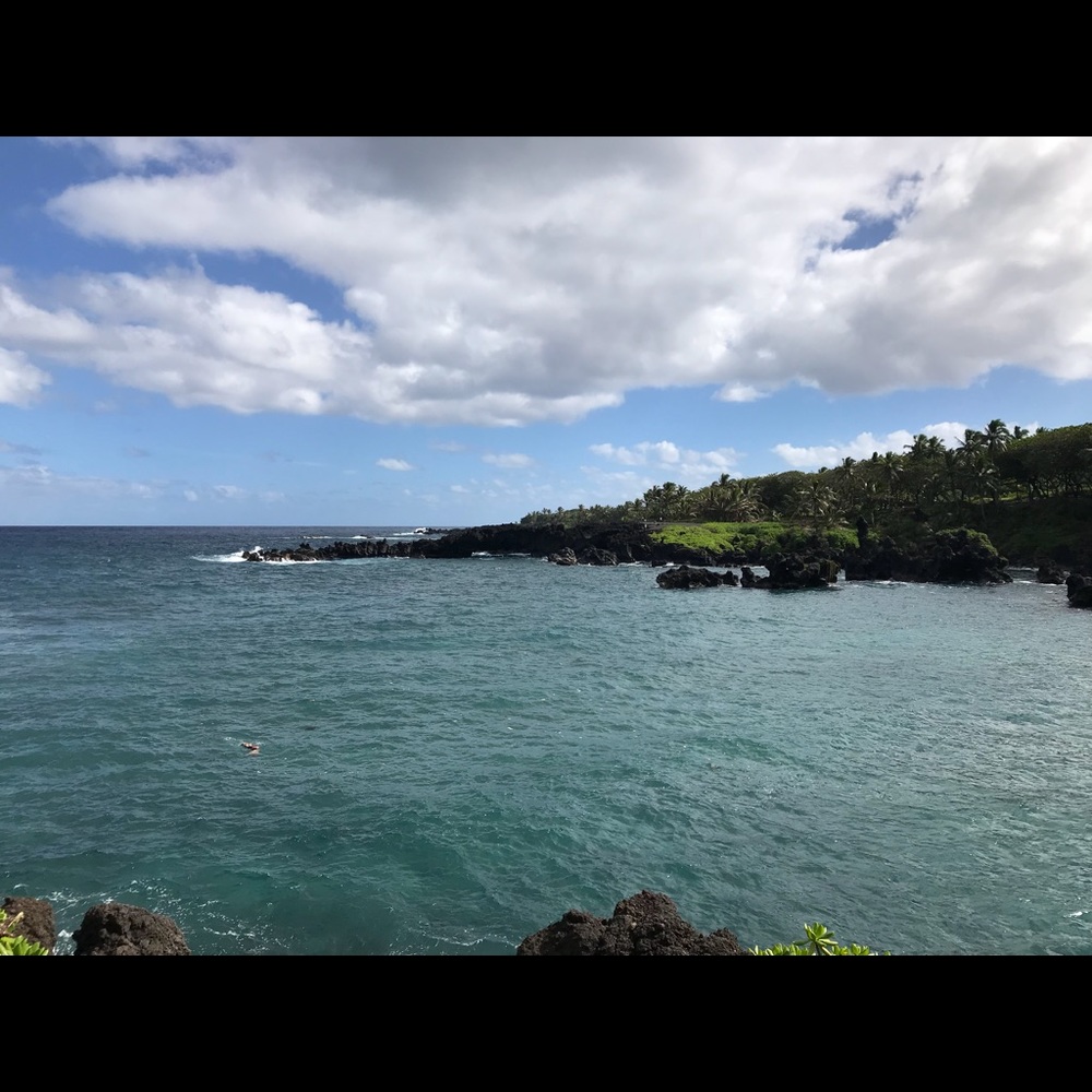 Meet your Posher, Skyler